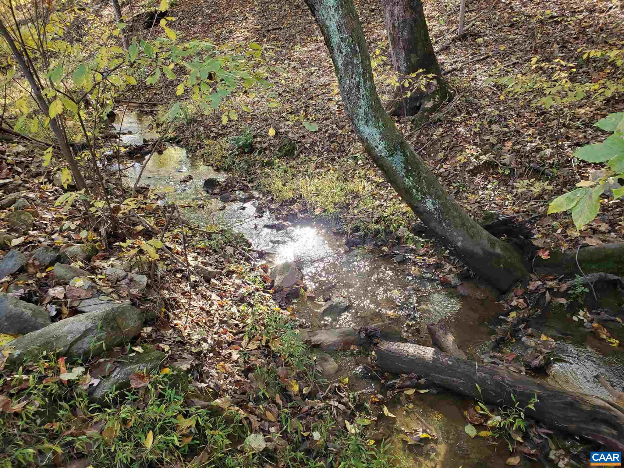 Lot I Blundell Hollow Road Afton, VA 22920 - Photo 10 of 15 a view of a forest
