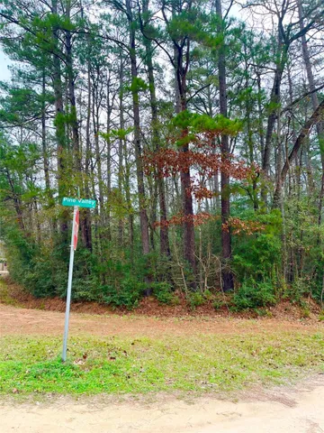 $65,000 | Tbd Pine Valley Drive, Shepherd, TX 77371