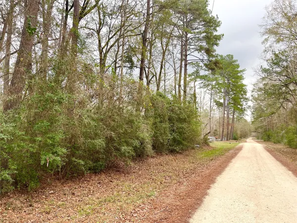 a view of a backyard of the house