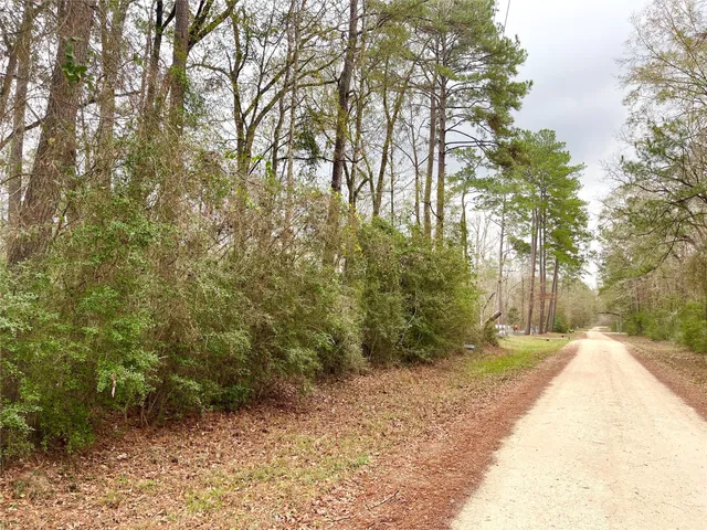 a view of a backyard of the house