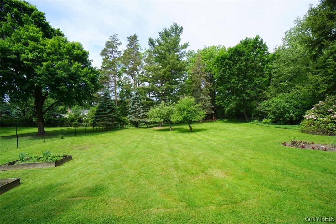 4464 Freeman Road Orchard Park, NY 14127 - Photo 22 of 30 Rear Yard