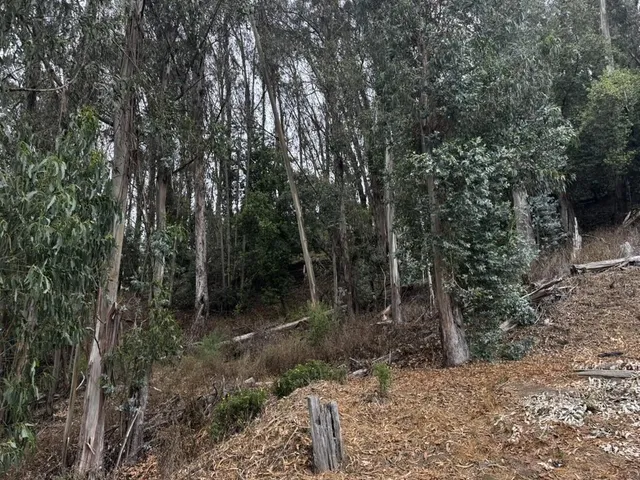 $70,000 | 6587 Thornhill Drive, Oakland, CA 94611