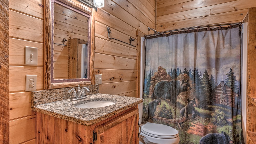 98 Snake Nation Overlook Blue Ridge, GA 30513 - Photo 21 of 41 a bathroom with a granite countertop sink toilet and shower