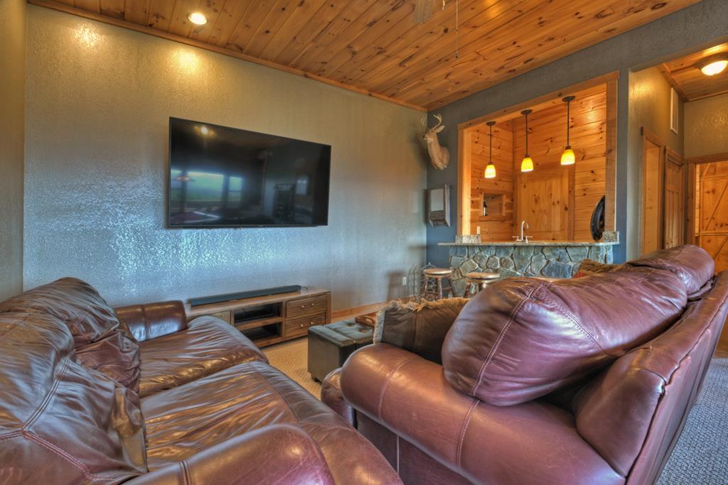 98 Snake Nation Overlook Blue Ridge, GA 30513 - Photo 34 of 41 a living room with a couch and a flat screen tv