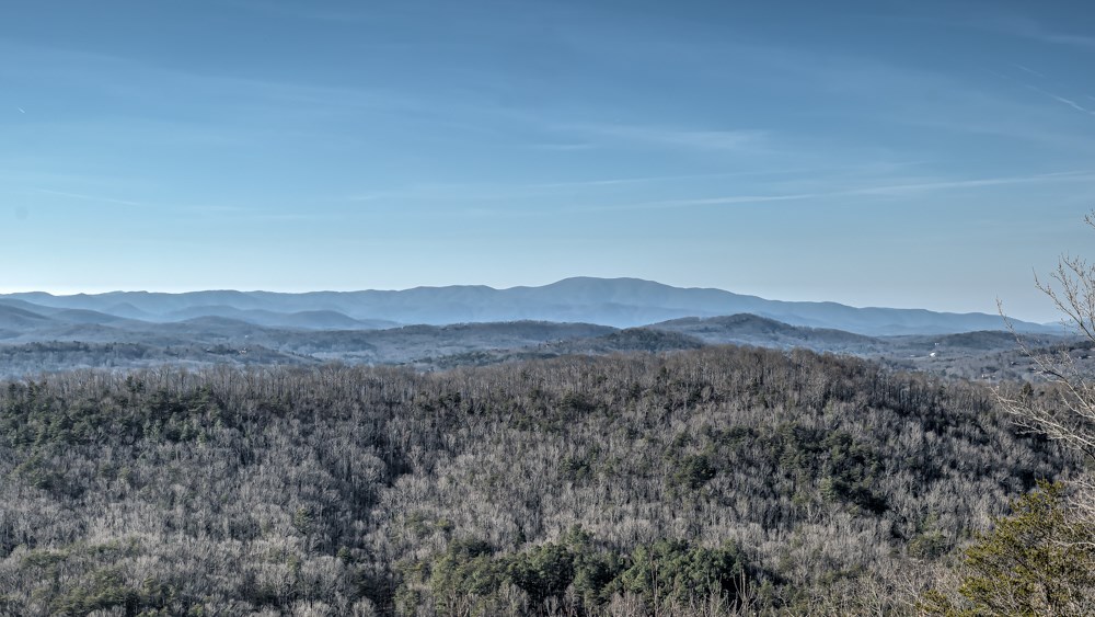 98 Snake Nation Overlook Blue Ridge, GA 30513 - Photo 34 of 47 Gallery Image 34