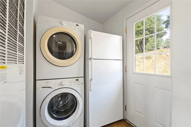 a view of a backyard with plants and large tree