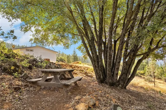 a view of a backyard