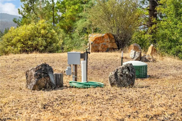 a view of large trees with a big yard
