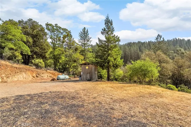 a view of a yard with trees