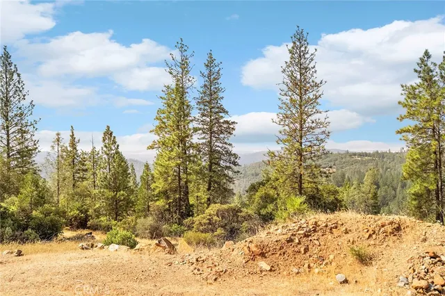 a view of a backyard with large trees