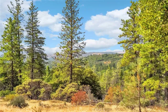 a view of a backyard of the house
