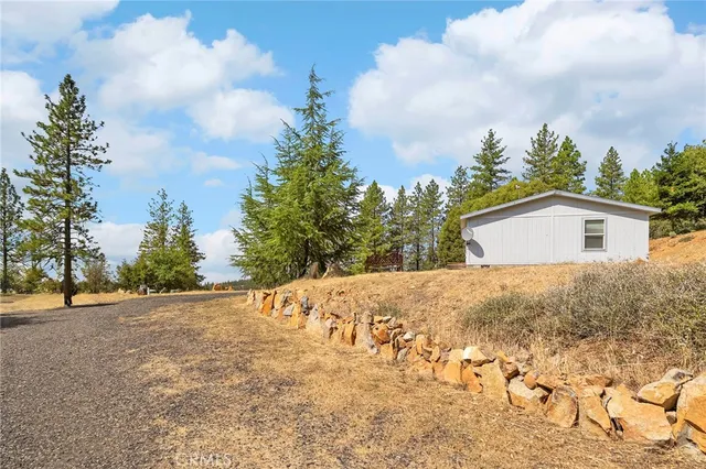 a view of a yard with trees