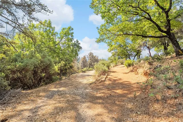 a view of backyard with wooden fence