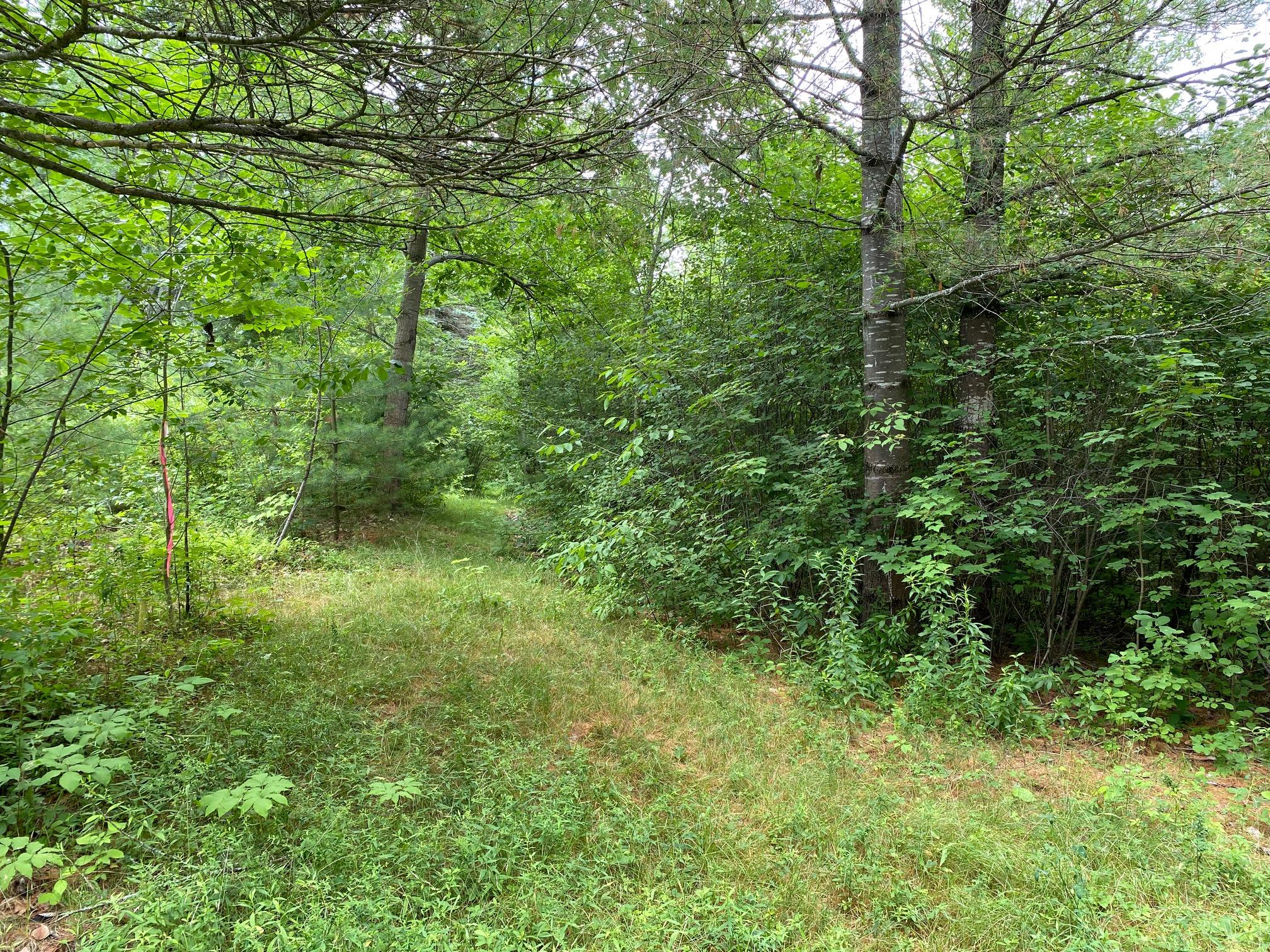 27.38-acre Huston Road Gorham, ME 04038 - Photo 4 of 6 IMG_3405