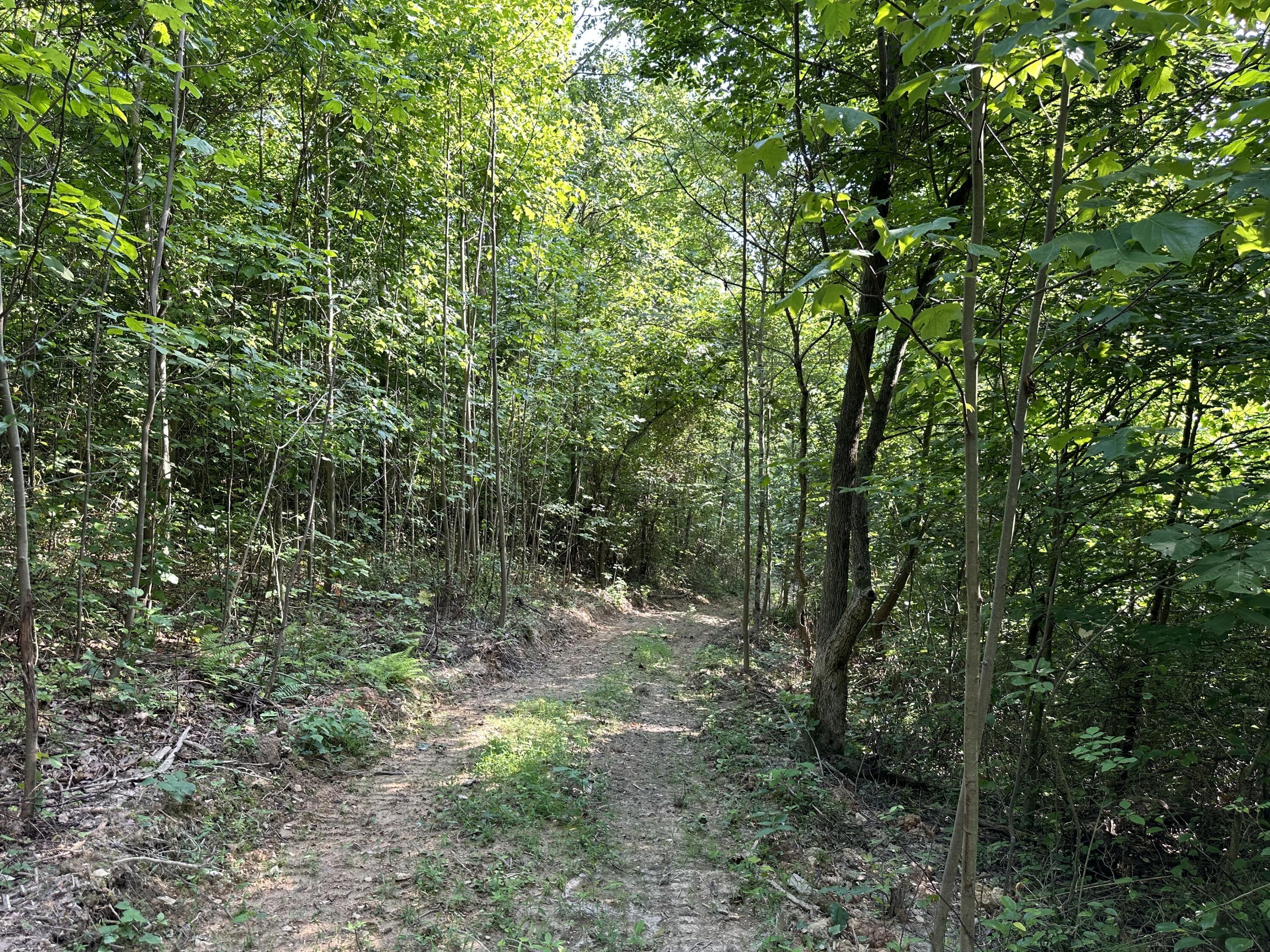 6690 Old State Road, Unit PERRY RIDGE TRACT 6) Crooksville, OH 43731 - Photo 8 of 36 20230804_211228694_iOS