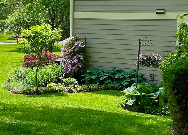 a garden with a bench