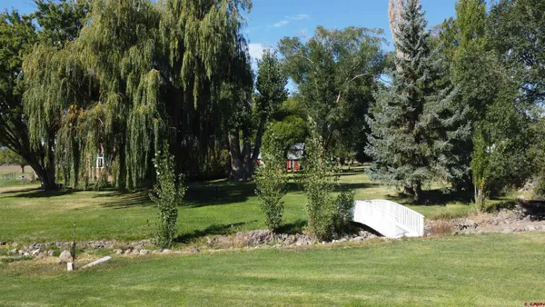 a view of a garden