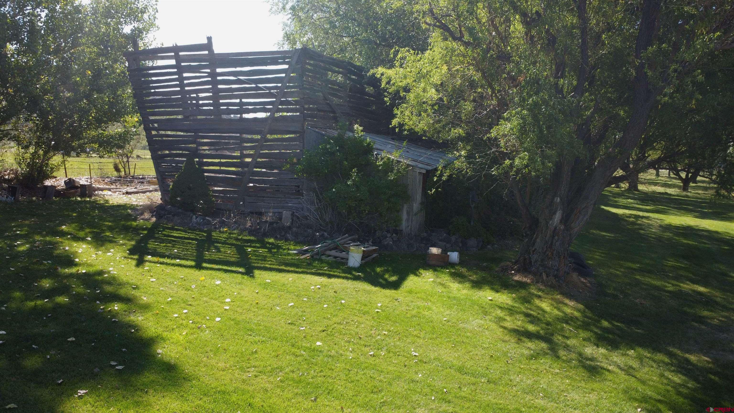 633 East Main Street Cedaredge, CO 81413 - Photo 9 of 32 a backyard of a house with a yard and large trees