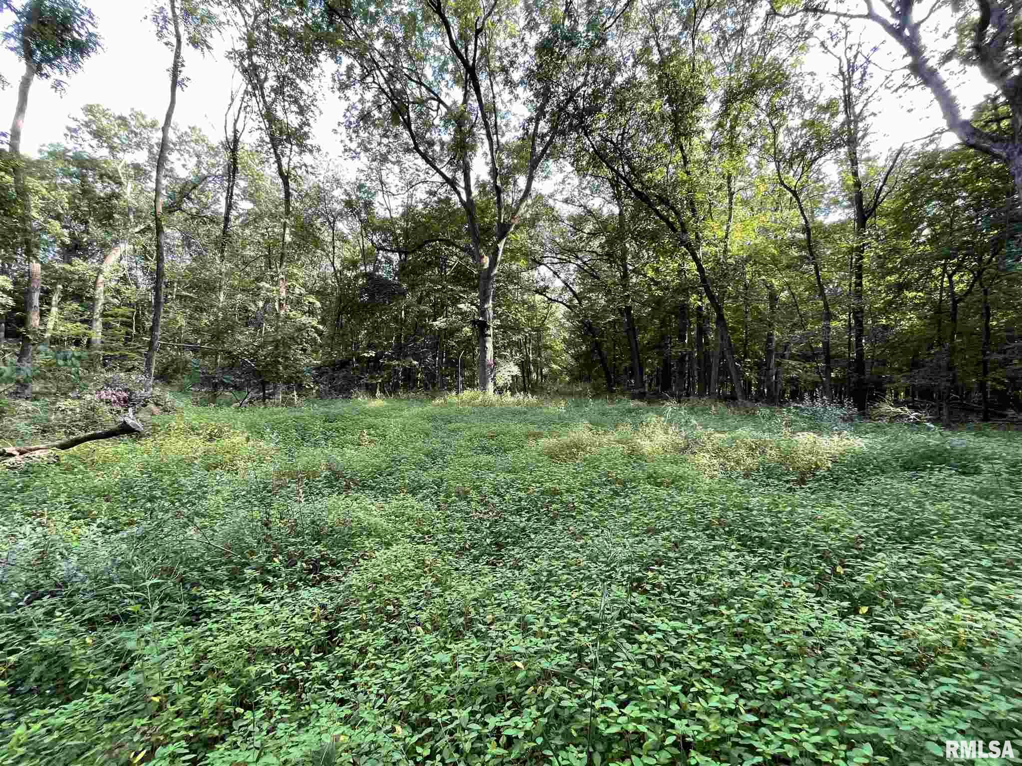 1543 Hickory Point Road Metamora, IL 61548 - Photo 19 of 19 Gallery Image 19