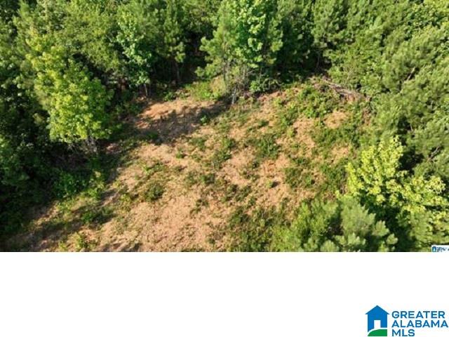 0 County Road 253, Unit 3 Clanton, AL 35046 - Photo 4 of 8