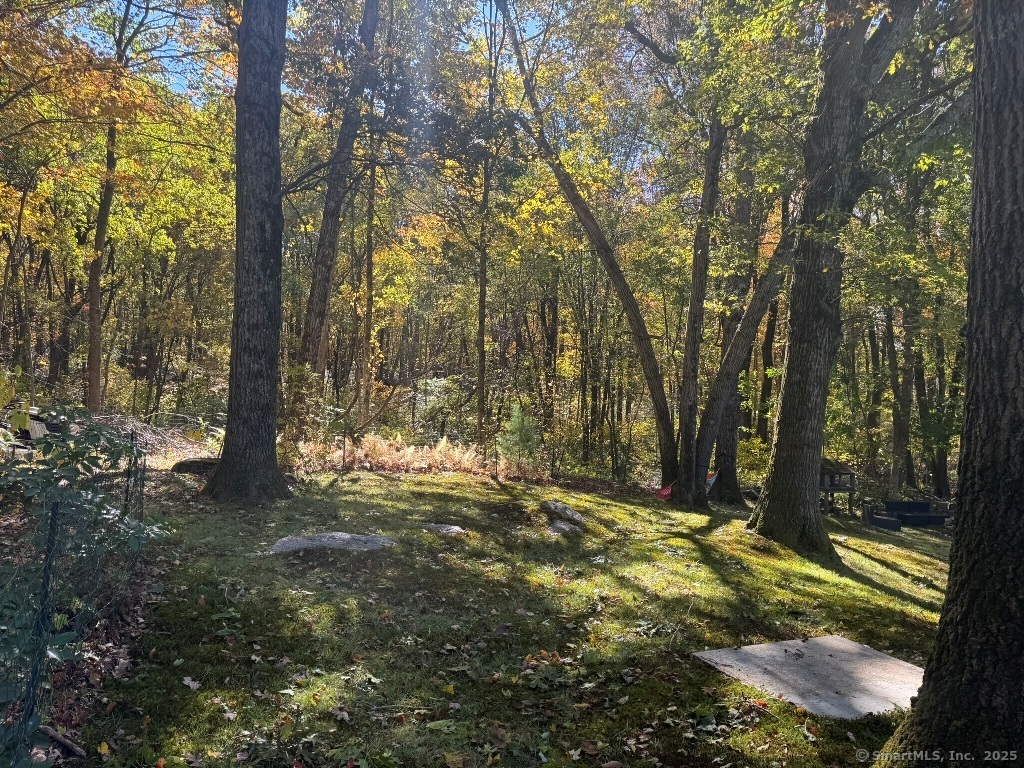 1166 Spindle Hill Road Wolcott, CT 06716 - Photo 26 of 29 a view of backyard with tree