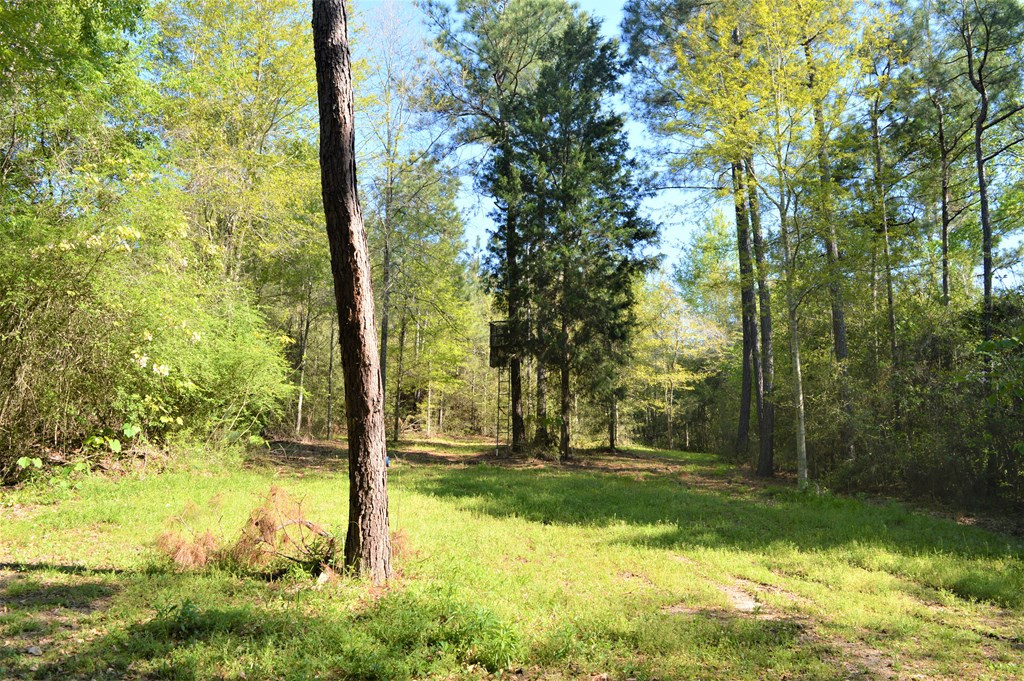 2068 Fred Martin Road Summit, MS 39666 - Photo 33 of 35 Photo 33