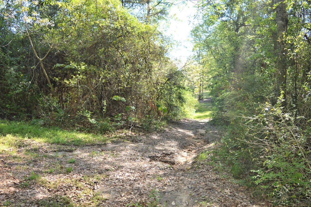 2068 Fred Martin Road Summit, MS 39666 - Photo 34 of 35 Photo 34