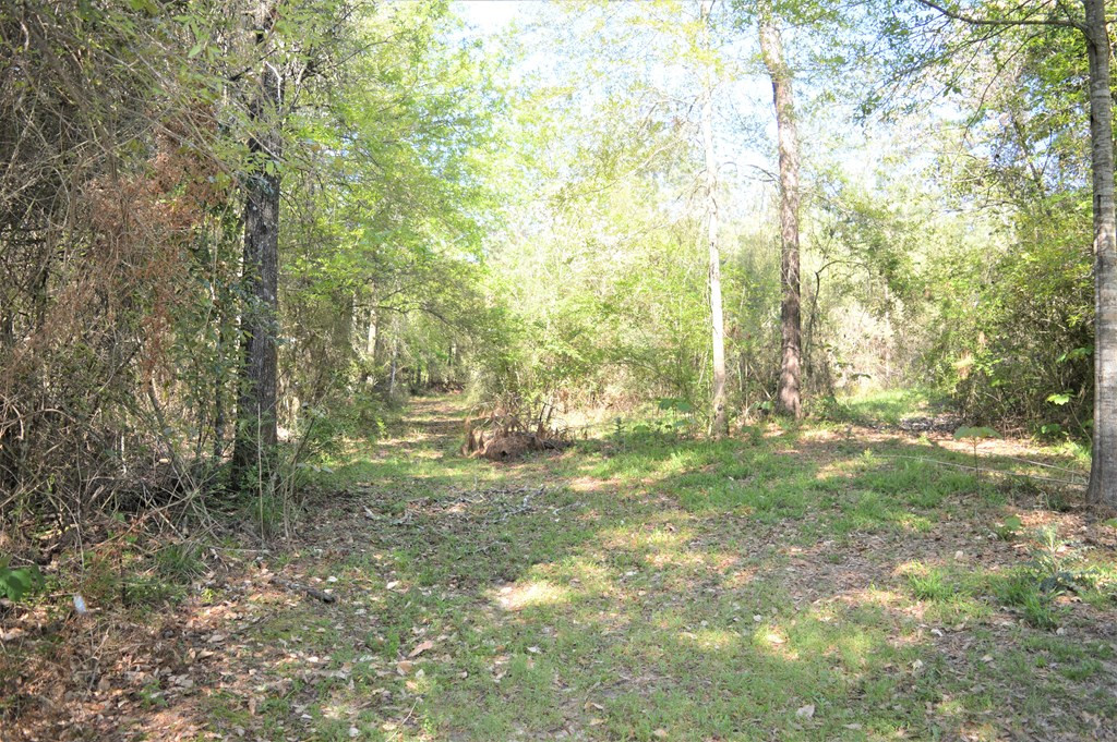 2068 Fred Martin Road Summit, MS 39666 - Photo 35 of 35 Photo 35