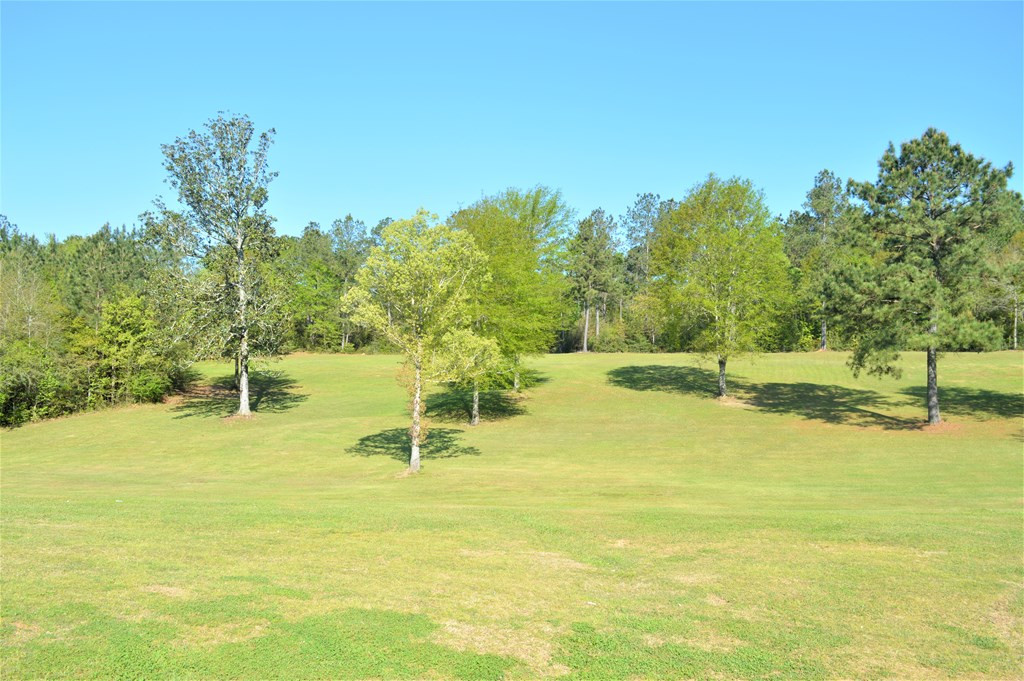 2068 Fred Martin Road Summit, MS 39666 - Photo 7 of 35 Photo 7
