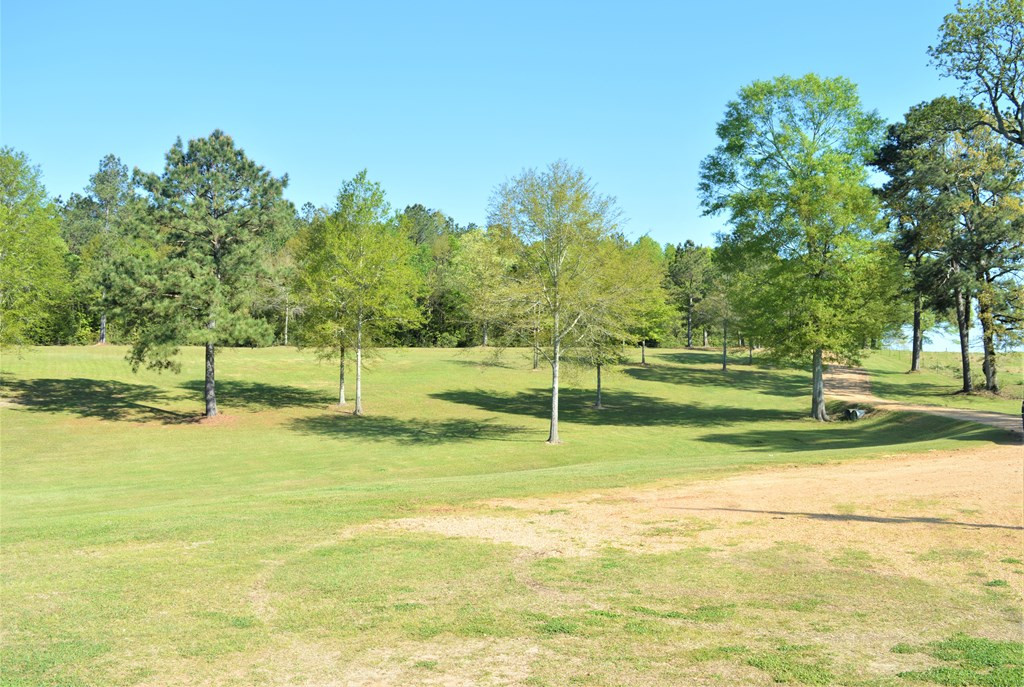 2068 Fred Martin Road Summit, MS 39666 - Photo 8 of 35 Photo 8