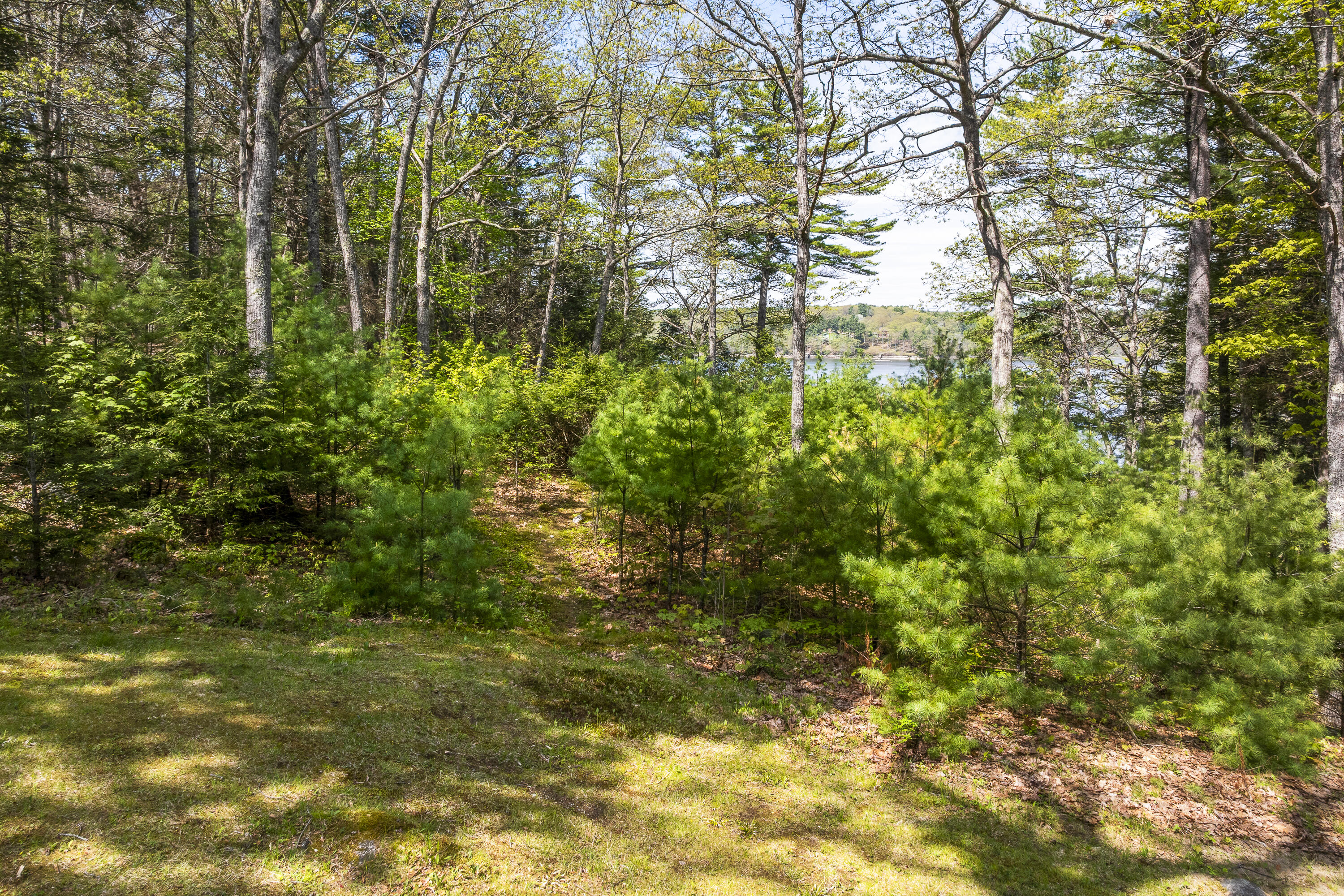 31 Woodward Farm Road Bristol, ME 04539 - Photo 40 of 103 98-31 Woodward Farm Rd, Bristol, ME-TP