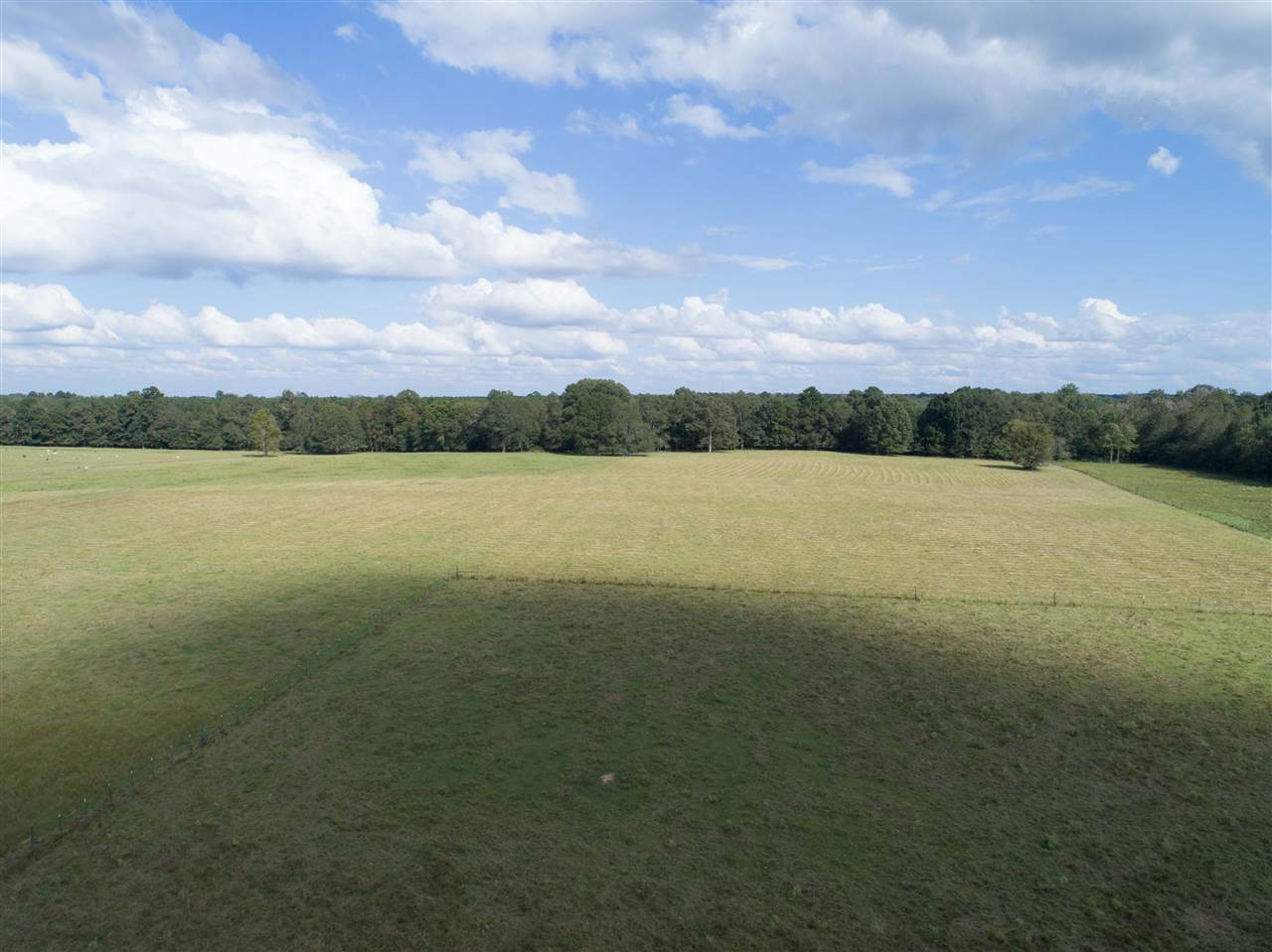 1079 Hall Road Forest, MS 39074 - Photo 29 of 42 Photo 29