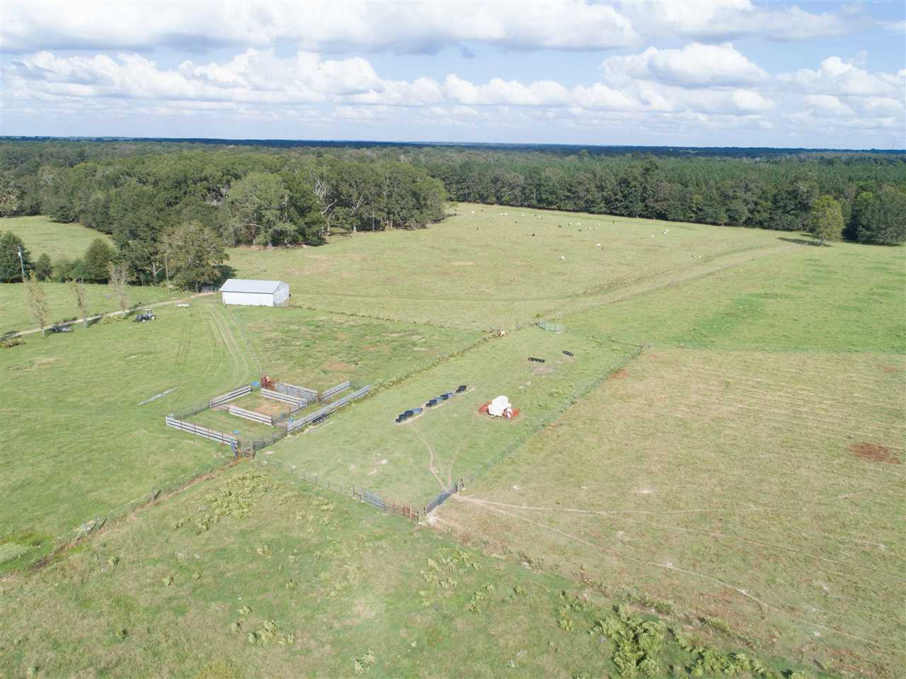 1079 Hall Road Forest, MS 39074 - Photo 30 of 42 Photo 30