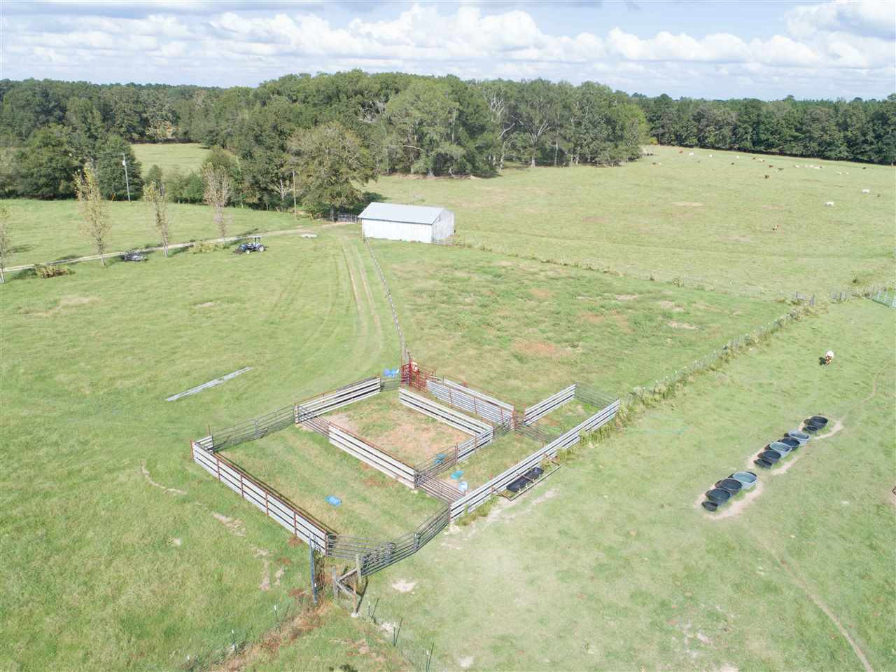 1079 Hall Road Forest, MS 39074 - Photo 31 of 42 Photo 31