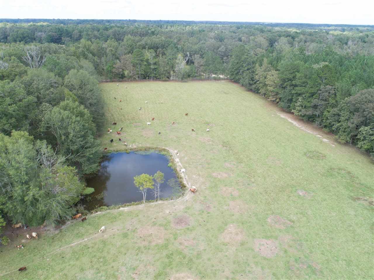 1079 Hall Road Forest, MS 39074 - Photo 36 of 42 Photo 36