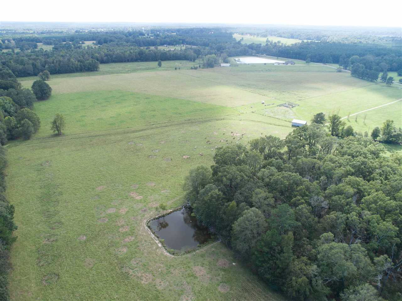 1079 Hall Road Forest, MS 39074 - Photo 37 of 42 Photo 37