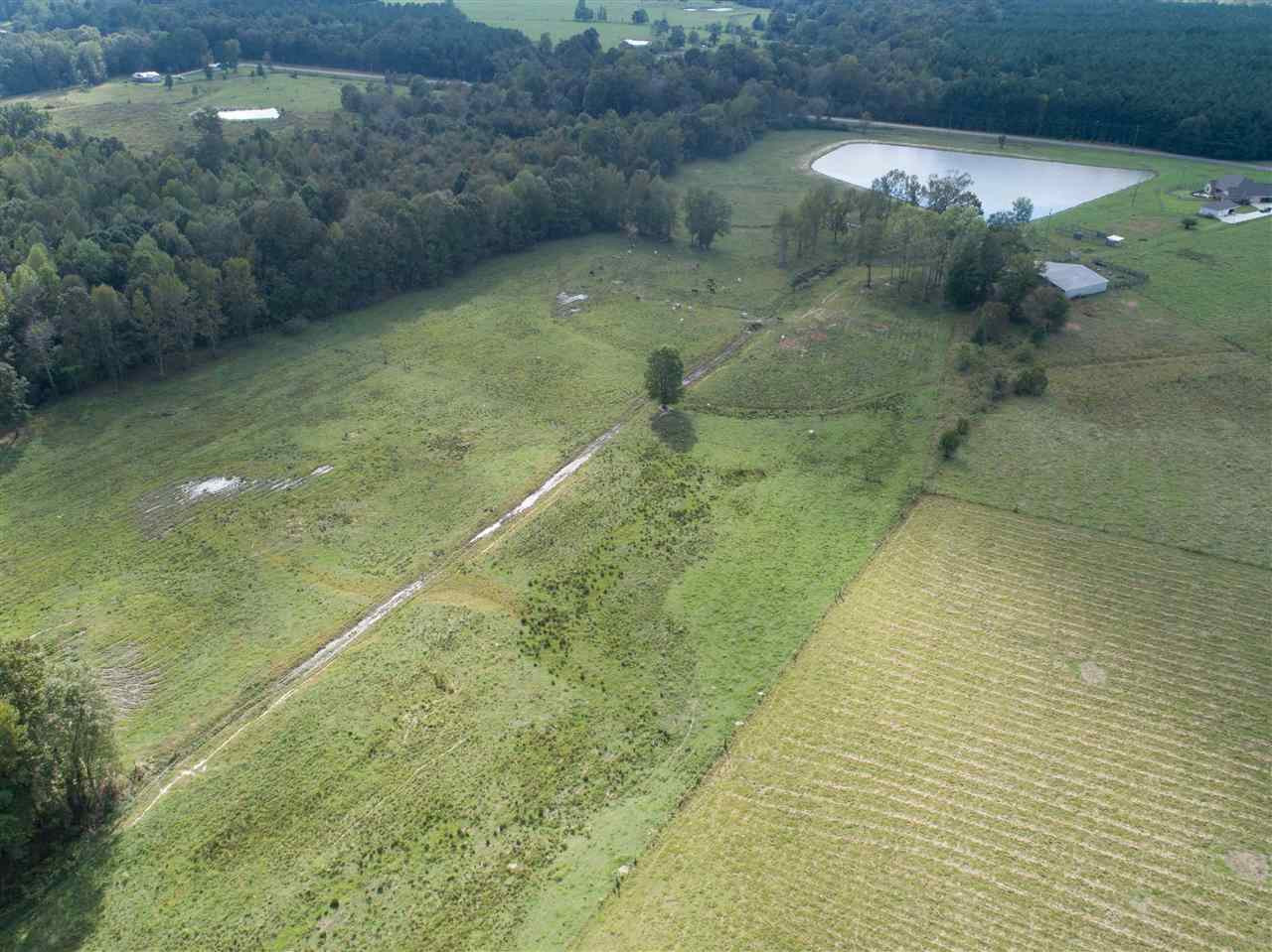 1079 Hall Road Forest, MS 39074 - Photo 38 of 42 Photo 38