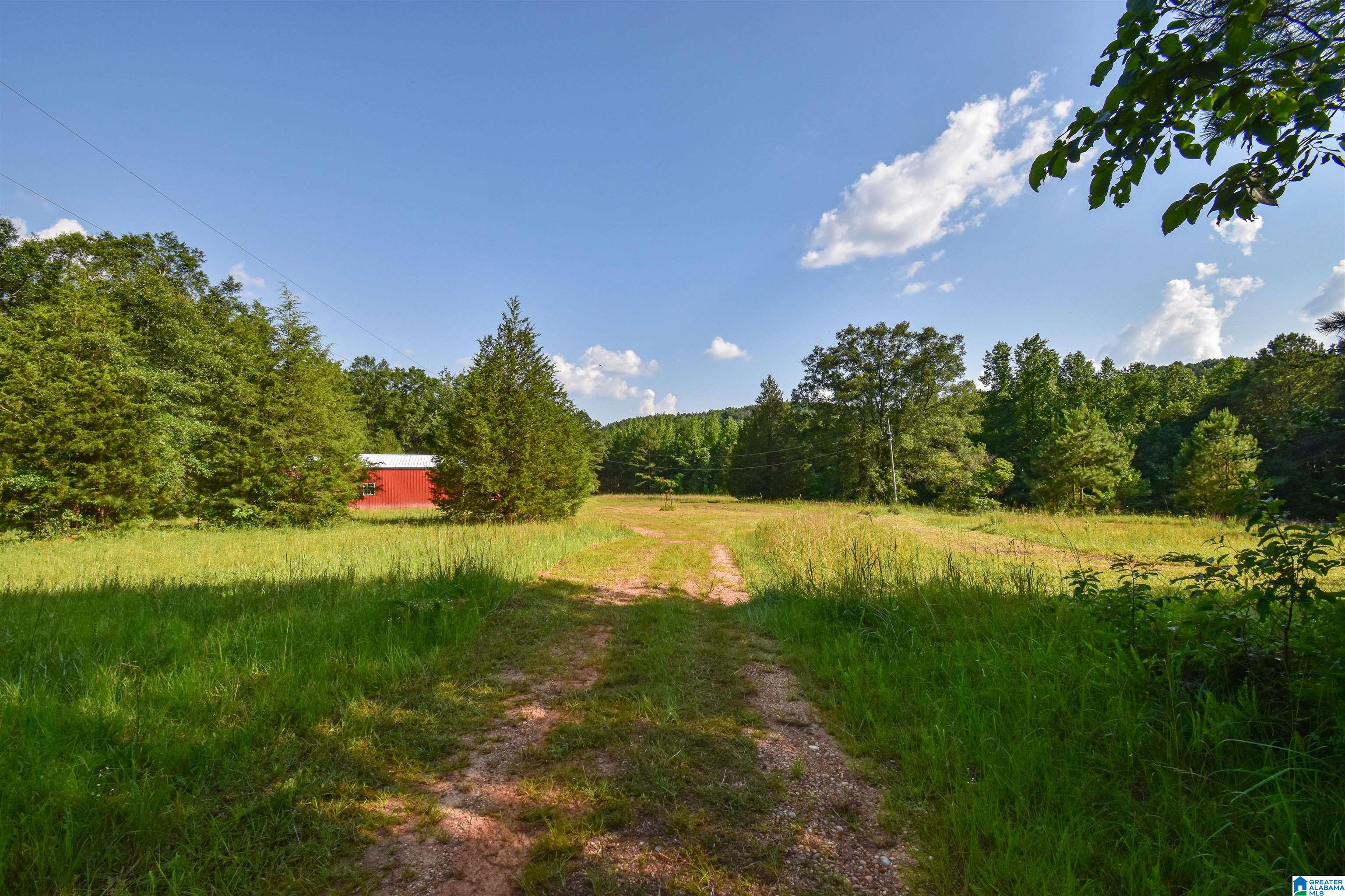 373 Myers Road Berry, AL 35546 - Photo 70 of 74