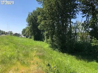 a view of a green yard