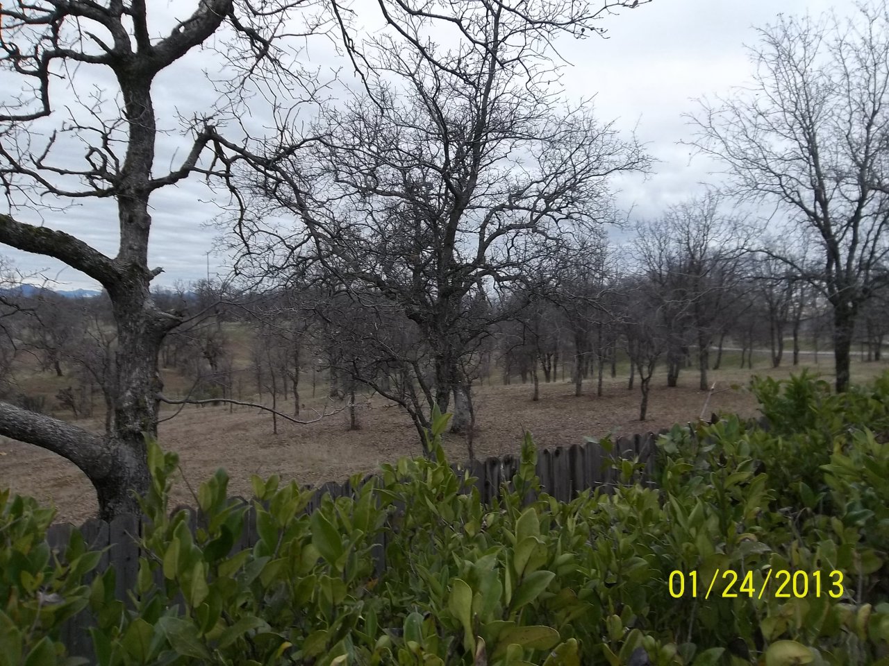 1006 Lema Road Redding, CA 96003 - Photo 3 of 16 Looking toward McConnell Property