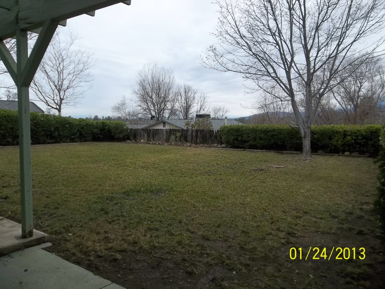 1006 Lema Road Redding, CA 96003 - Photo 4 of 16 Backyard
