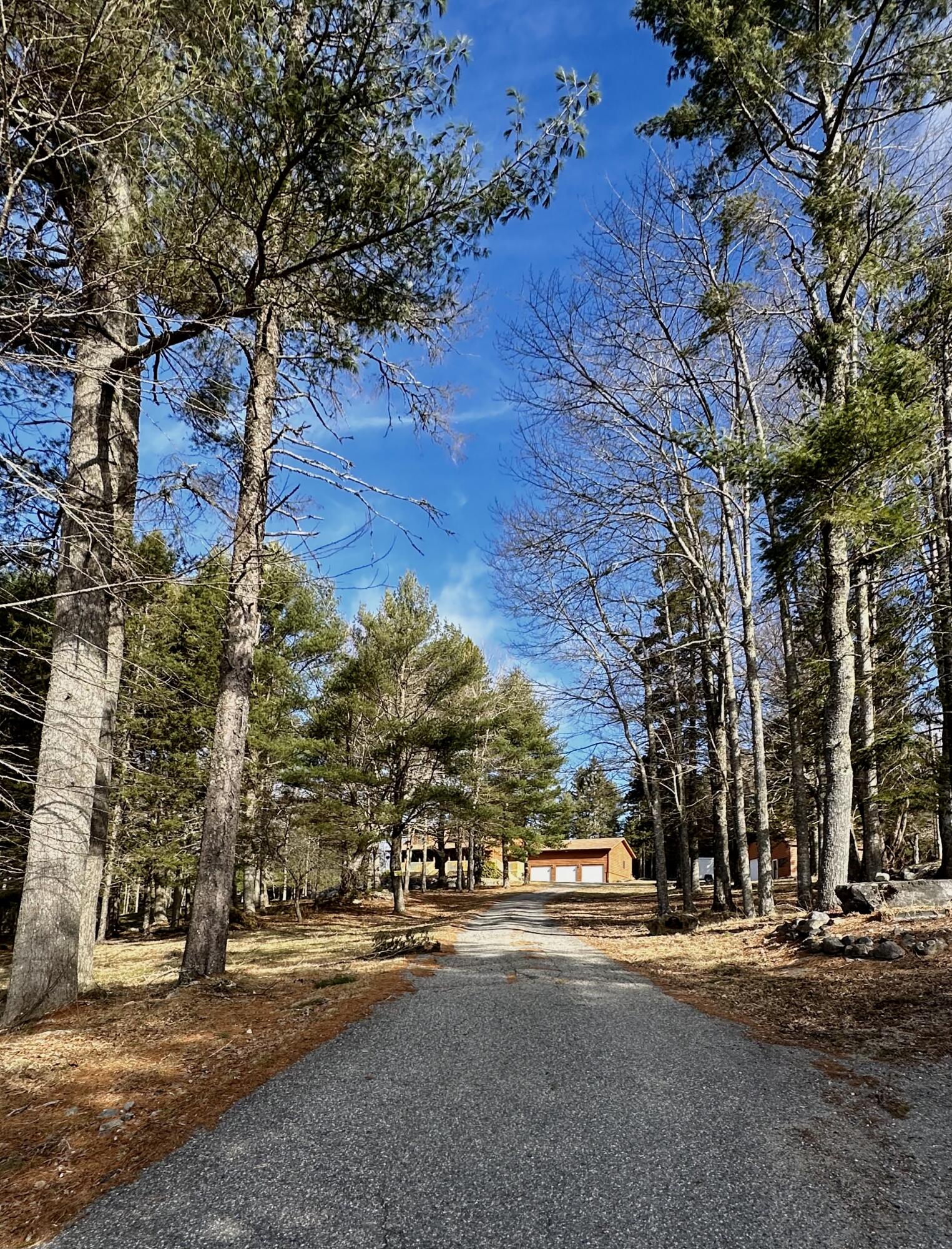 20 Ridge Road Machias, ME 04654 - Photo 101 of 101 IMG_9220