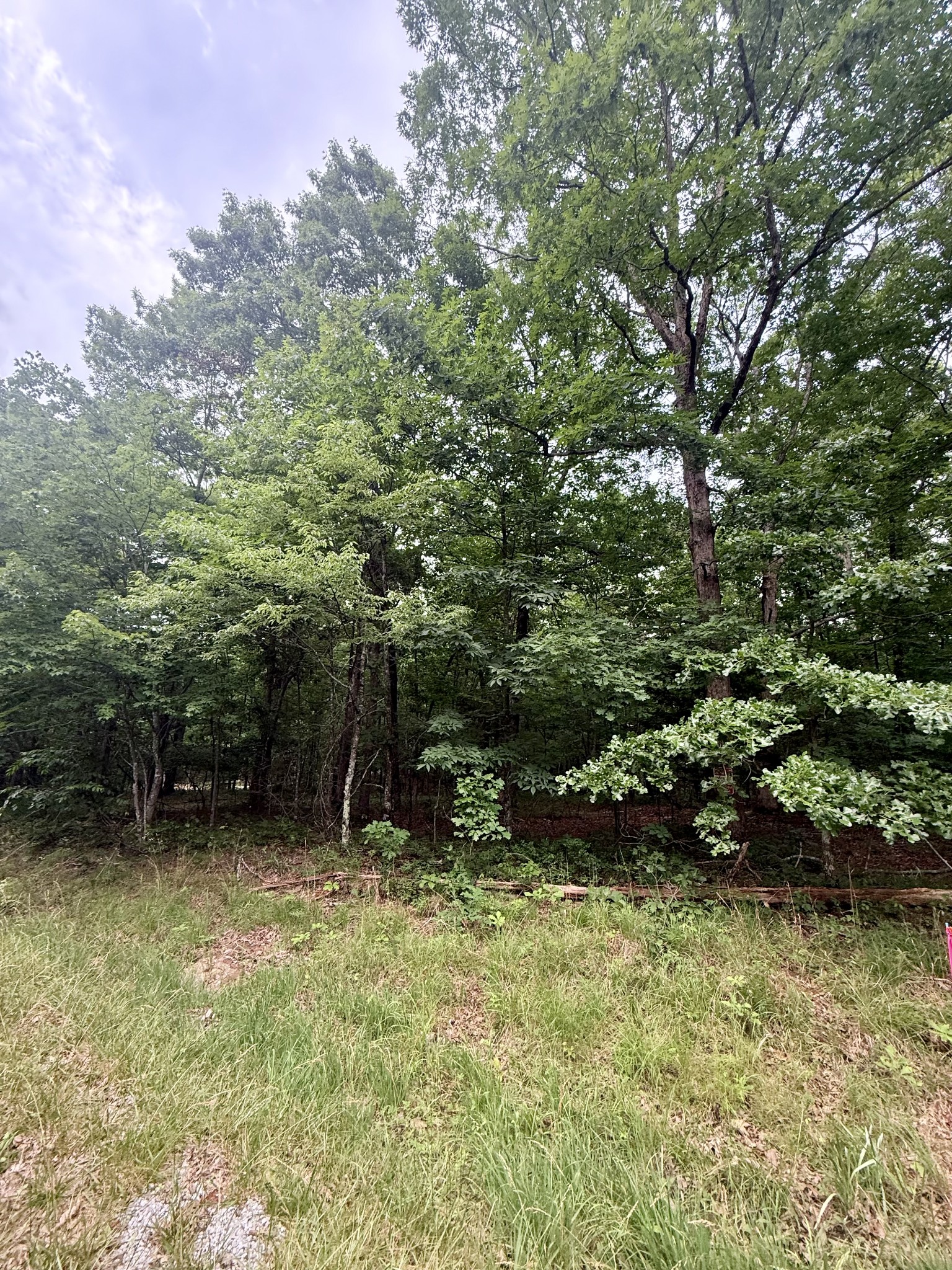 0 Deepwoods Road Sewanee, TN 37375 - Photo 3 of 8