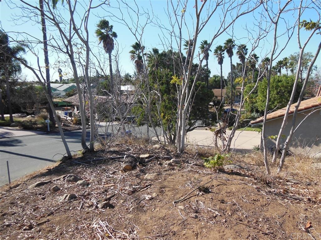 Ali Way Fallbrook, CA 92028 - Photo 1 of 1 a view of a forest with trees