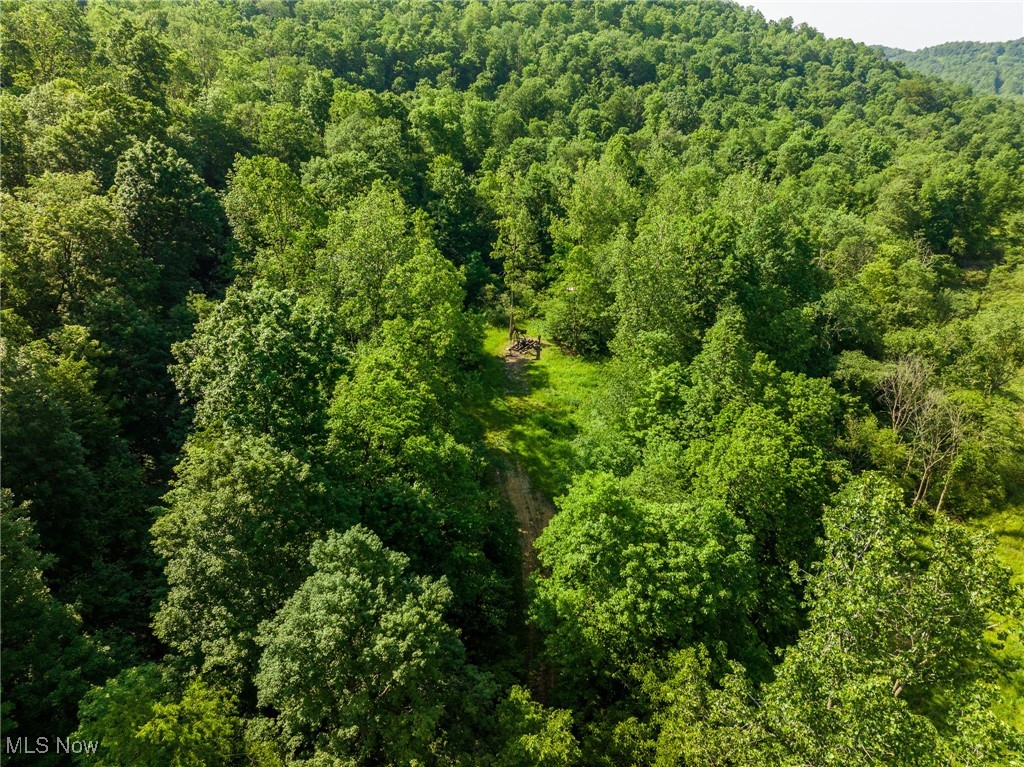Azalea Road Dennison, OH 44621 - Photo 31 of 50 Aerial view of a forest