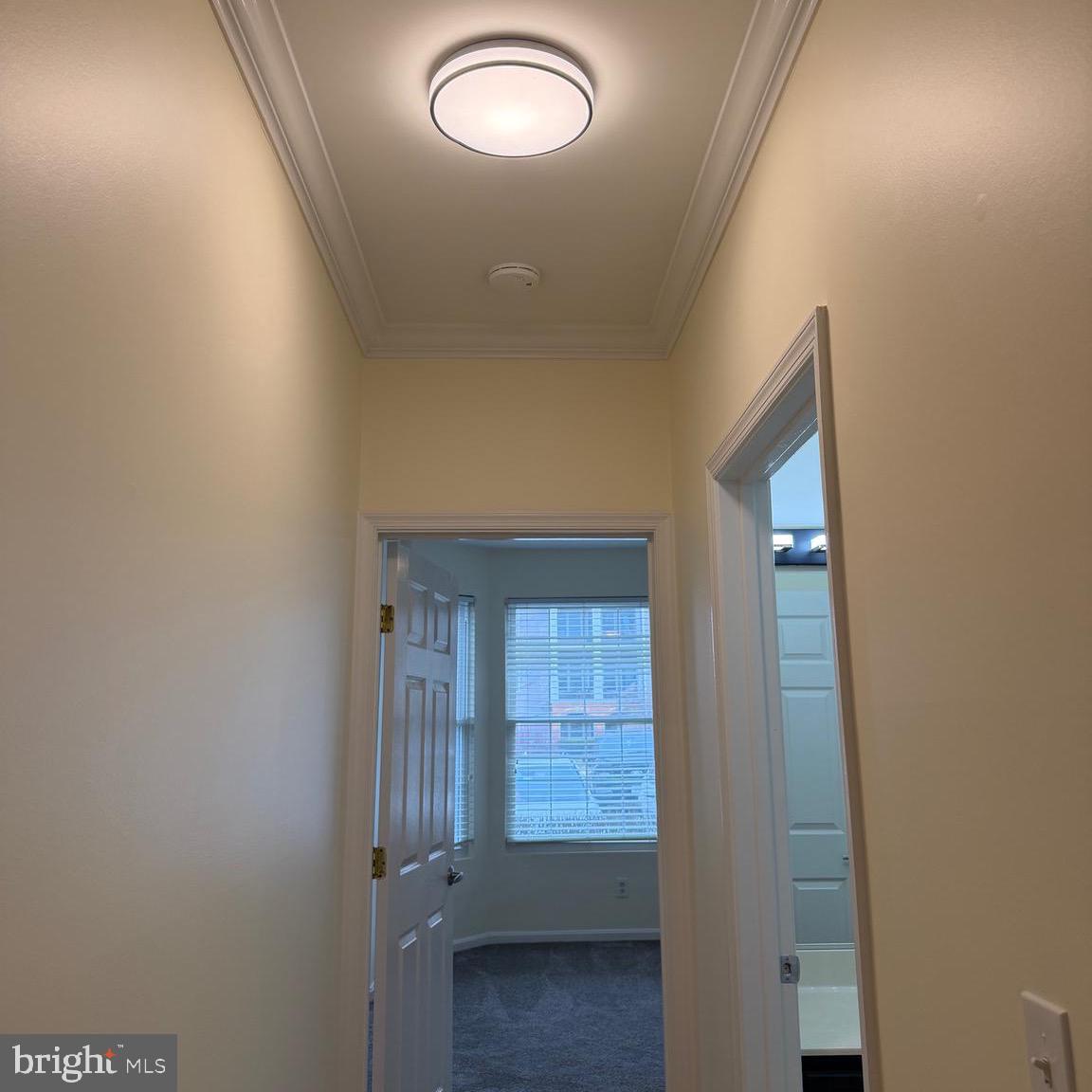 20453 Chesapeake Square, Unit 101 Sterling, VA 20165 - Photo 22 of 51 New lighting throughout the condo