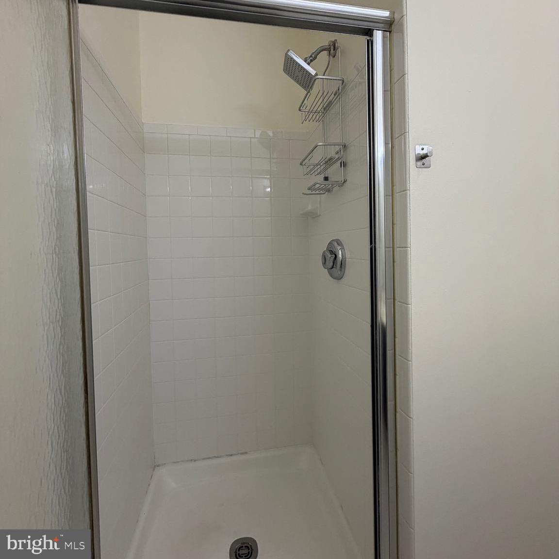 20453 Chesapeake Square, Unit 101 Sterling, VA 20165 - Photo 31 of 51 Shower in hall bath