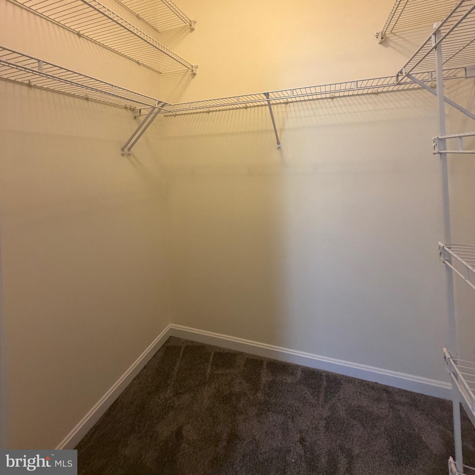 20453 Chesapeake Square, Unit 101 Sterling, VA 20165 - Photo 36 of 51 Walk in closet