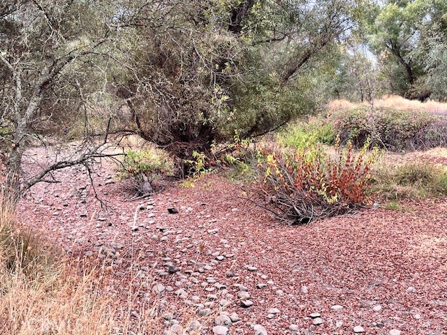 0 Lower Wyandotte Road Oroville, CA 95966 - Photo 11 of 22