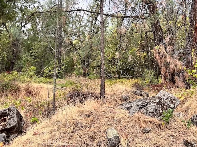 $339,000 | 0 Lower Wyandotte Road, Oroville, CA 95966